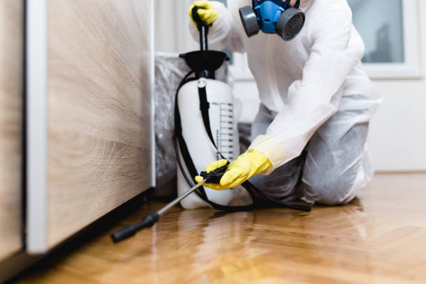 Best Pest Inspection Near Me  in Colonial Beach, VA