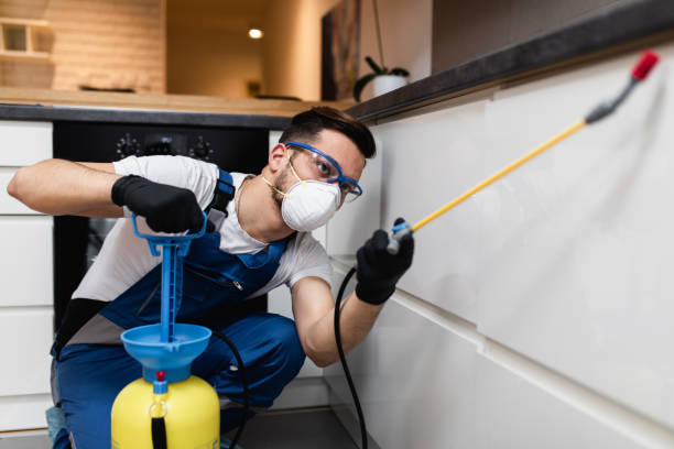 Best Local Pest Control Services  in Colonial Beach, VA