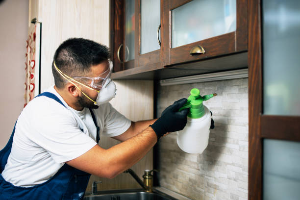 Best Pest Control Near Me in Colonial Beach, VA