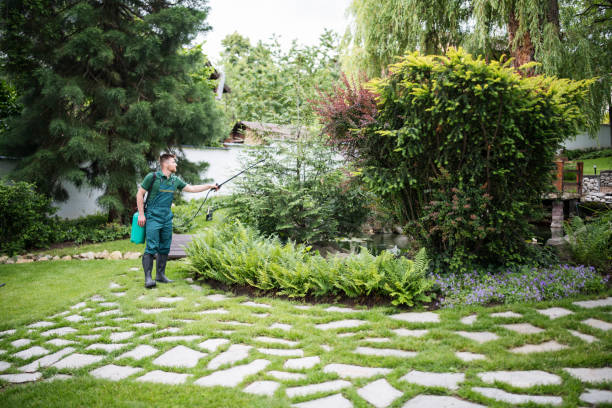 Best Local Pest Control Services  in Colonial Beach, VA