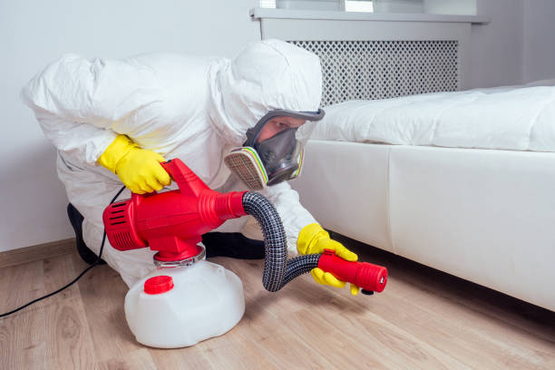 Best Ant Control Services  in Colonial Beach, VA